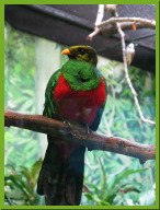 IMG_5075.jpg