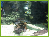 IMG_5259.JPG
