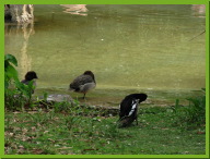 IMG_5264.JPG