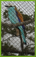 IMG_5276.JPG