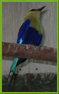 IMG_5392.JPG