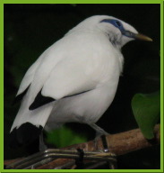 IMG_5449.JPG