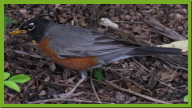 IMG_5475.JPG