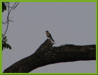 IMG_8635.jpg