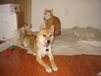 IMG_8135