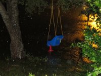 IMG_0537 Out front yard swing