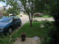 IMG_0597 Comparison photo of front yard. (the Impreza has not been moved)