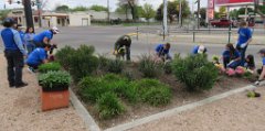 IMG_6749 Replanting flowers, Jenkins Butterfly Garden, Houston, TX