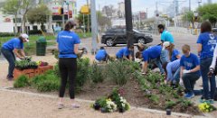 IMG_6757 Replanting flowers, Jenkins Butterfly Garden, Houston, TX