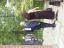 aut_4806.jpg