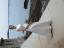 aut_4879.jpg