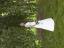 aut_4911.jpg