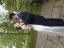 aut_5015.jpg
