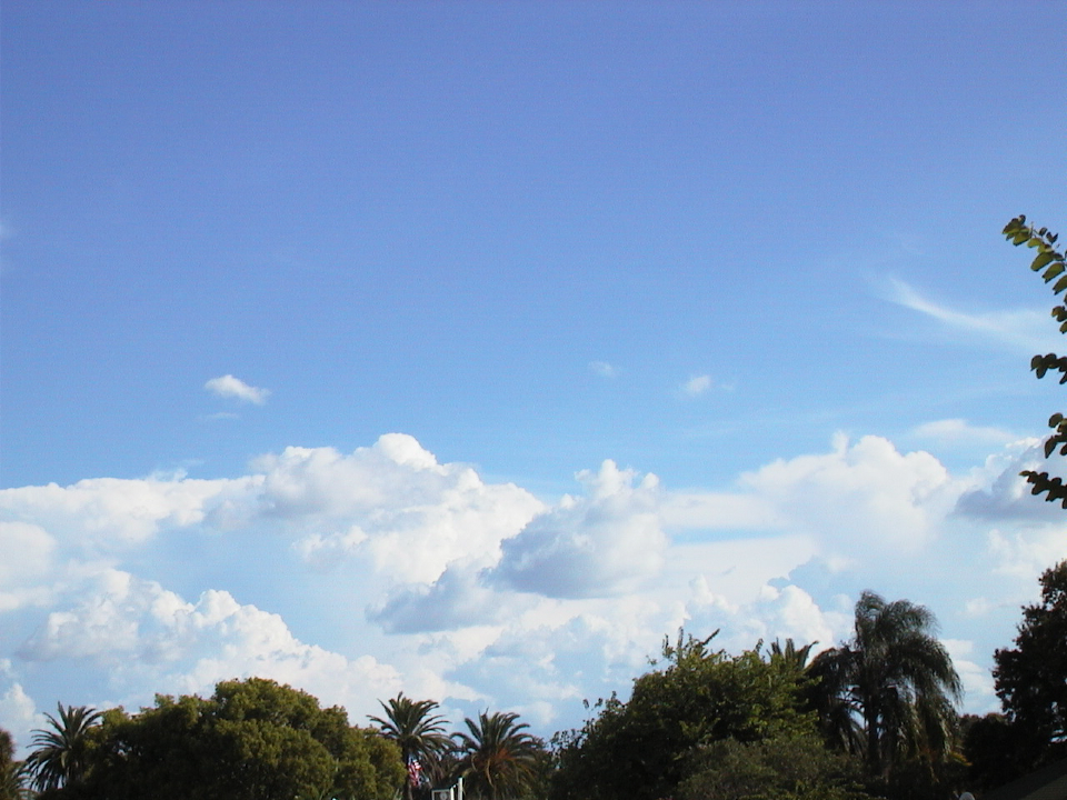 aut_4970.jpg