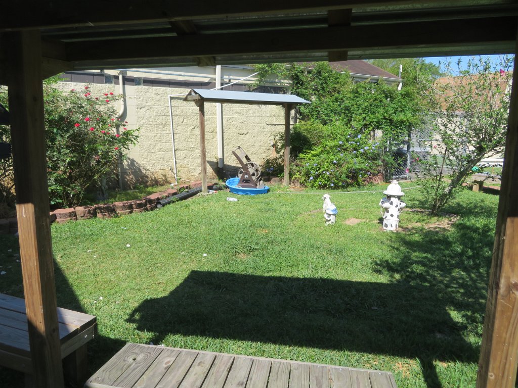 IMG 1147