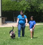 IMG 1314  "Hayden", League City Animal Shelter, League City, TX