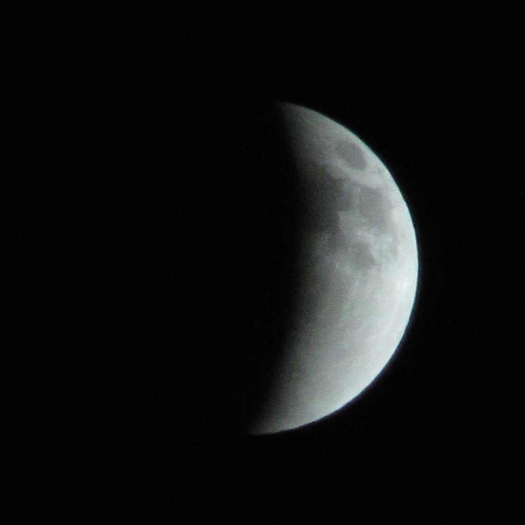 IMG_1834