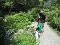 IMG 4609  Megan and Chris working on a worksheet, Wild Gardens of Acadia, Acadia NP