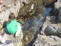 IMG 4658  Megan examining Tidal Pool at Schooner Head Overlook,  Acadia NP