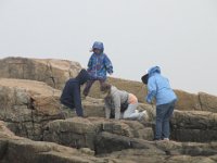 IMG 4801  Schoodic Point, Acadia NP