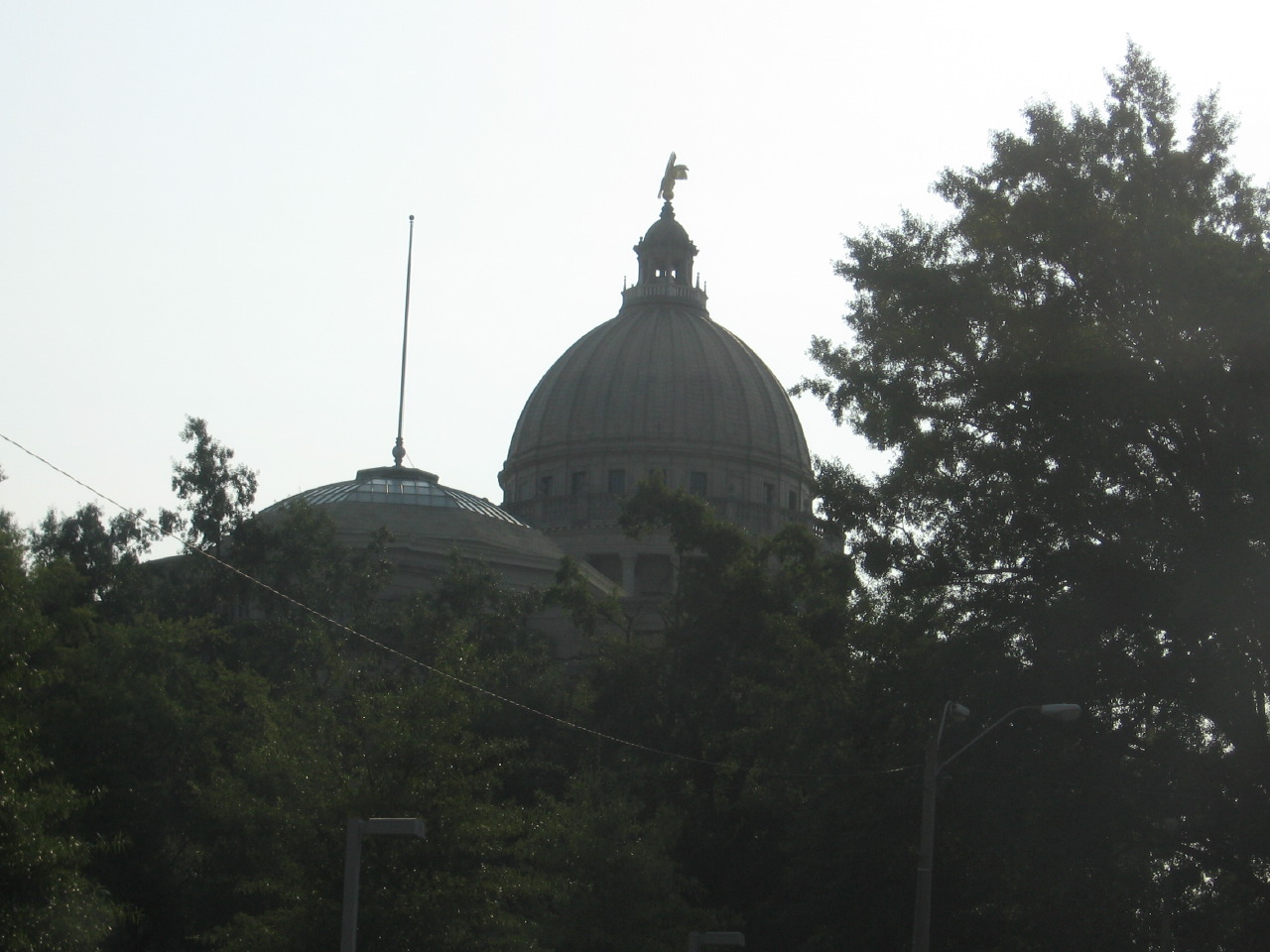 IMG_7329.JPG