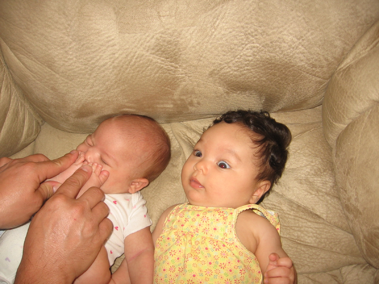 IMG_7473.JPG