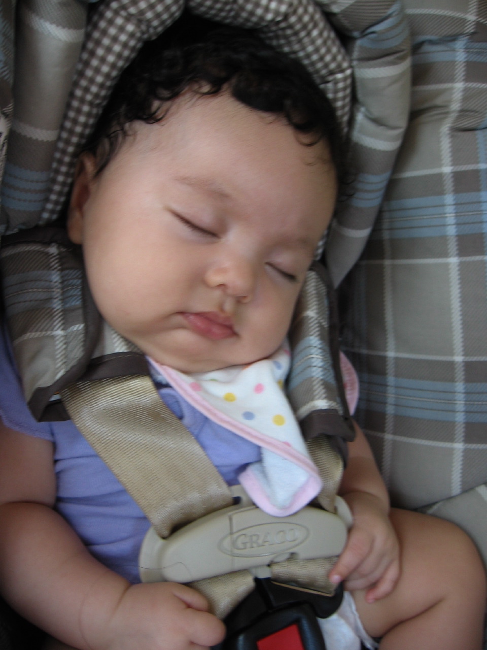 IMG_7523.JPG