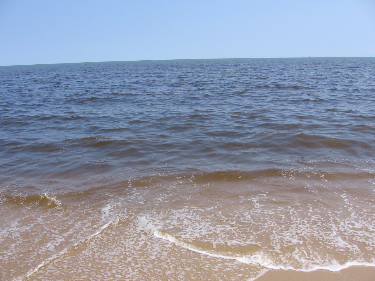 IMG_7631.JPG