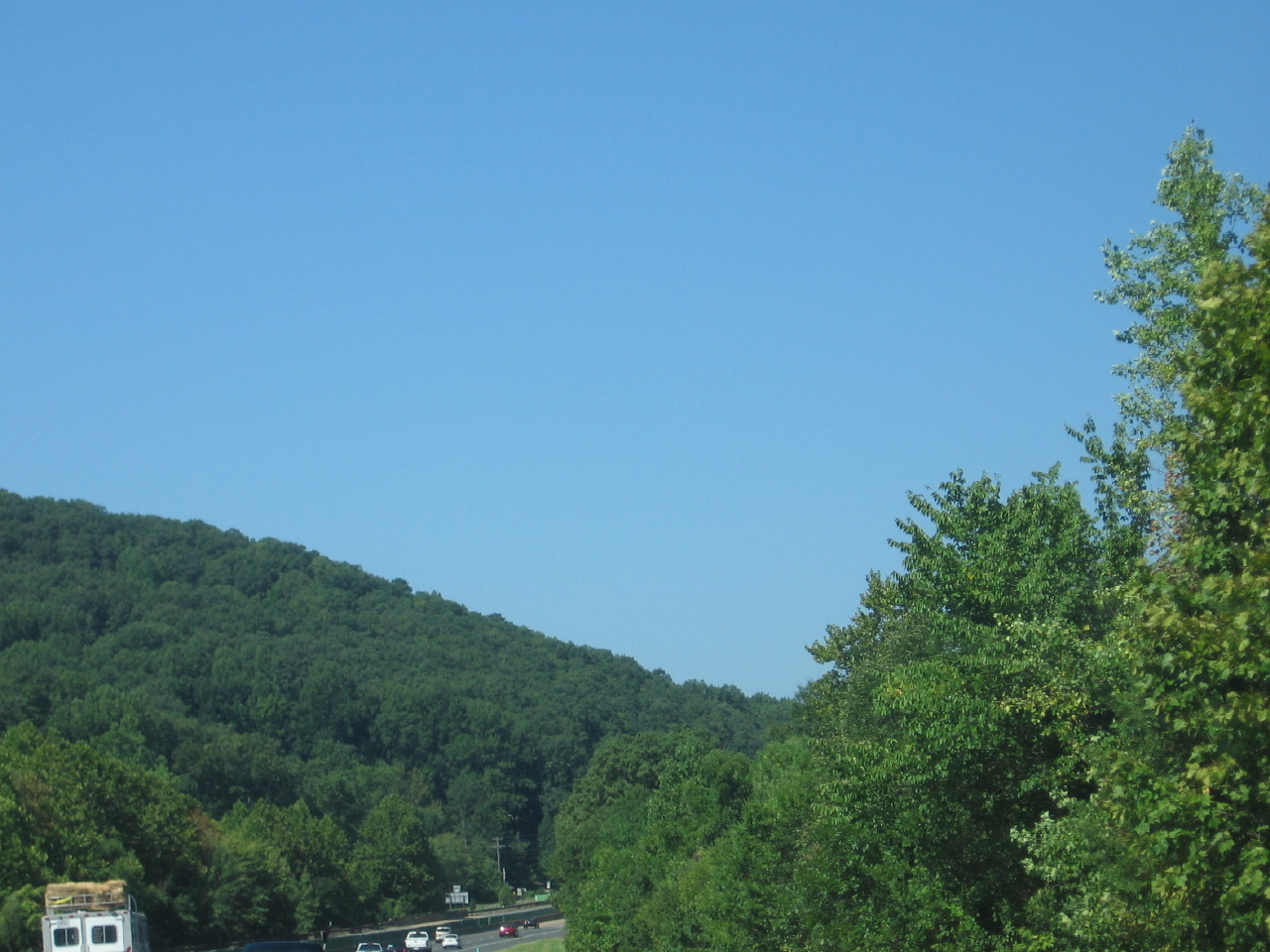 IMG_7780.JPG