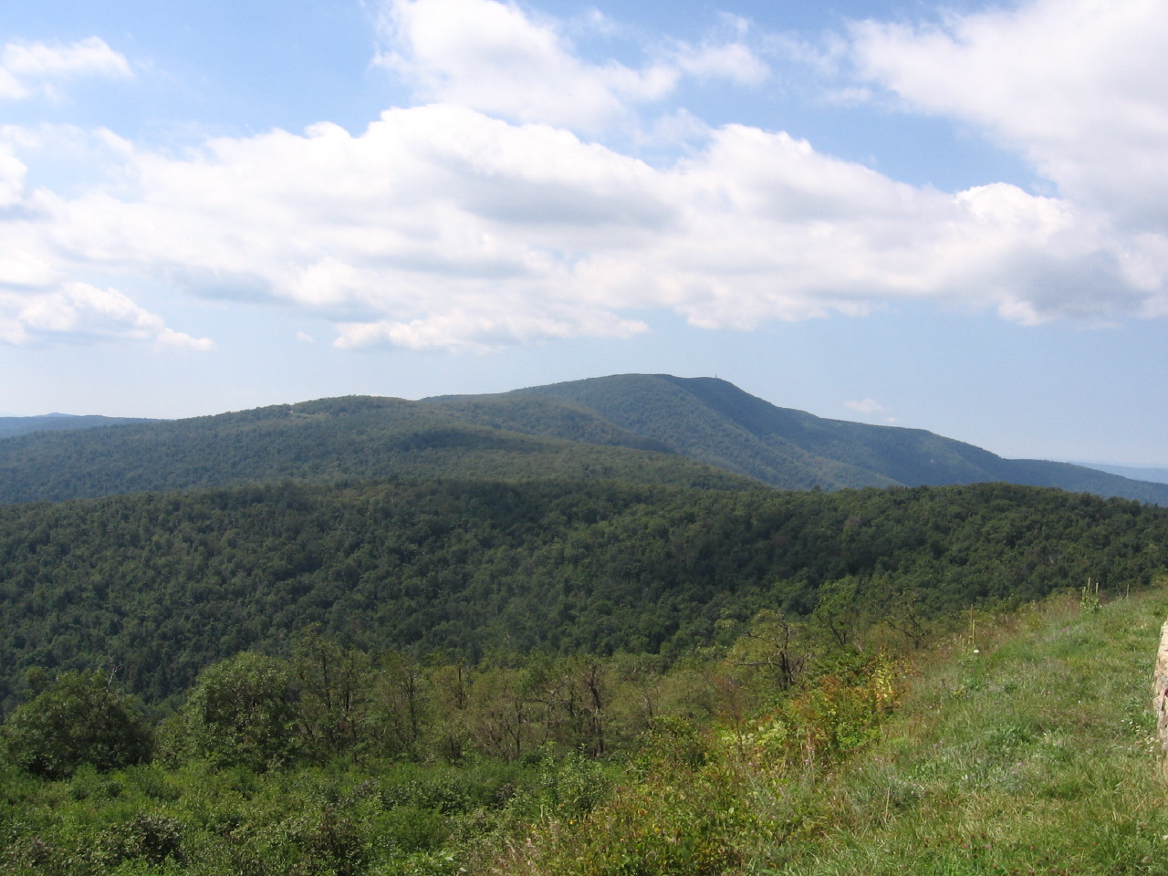 IMG_7820.JPG