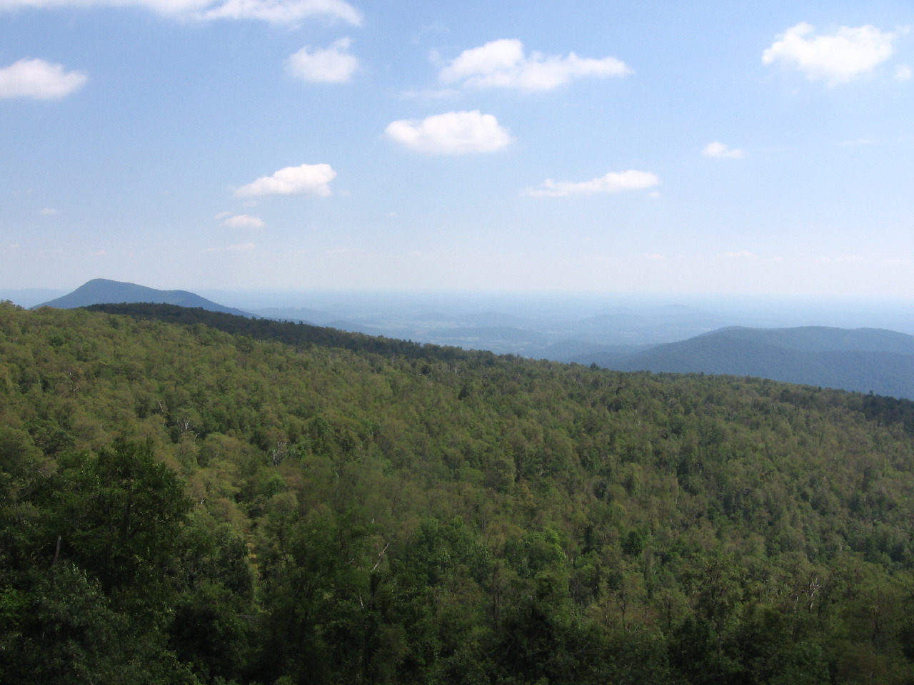 IMG_7837.JPG