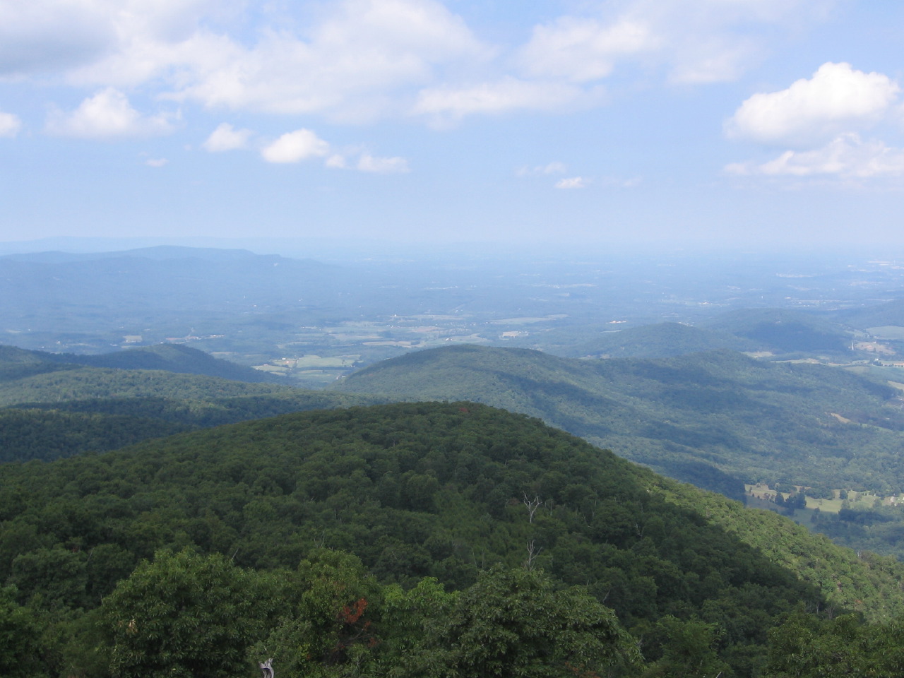 IMG_7851.JPG