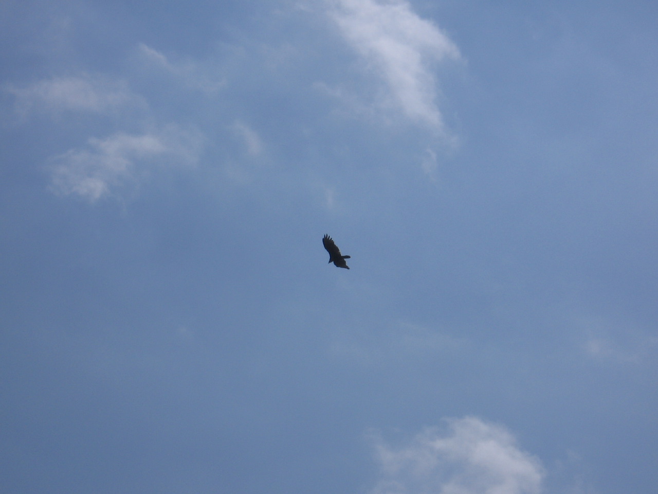 IMG_7886.JPG