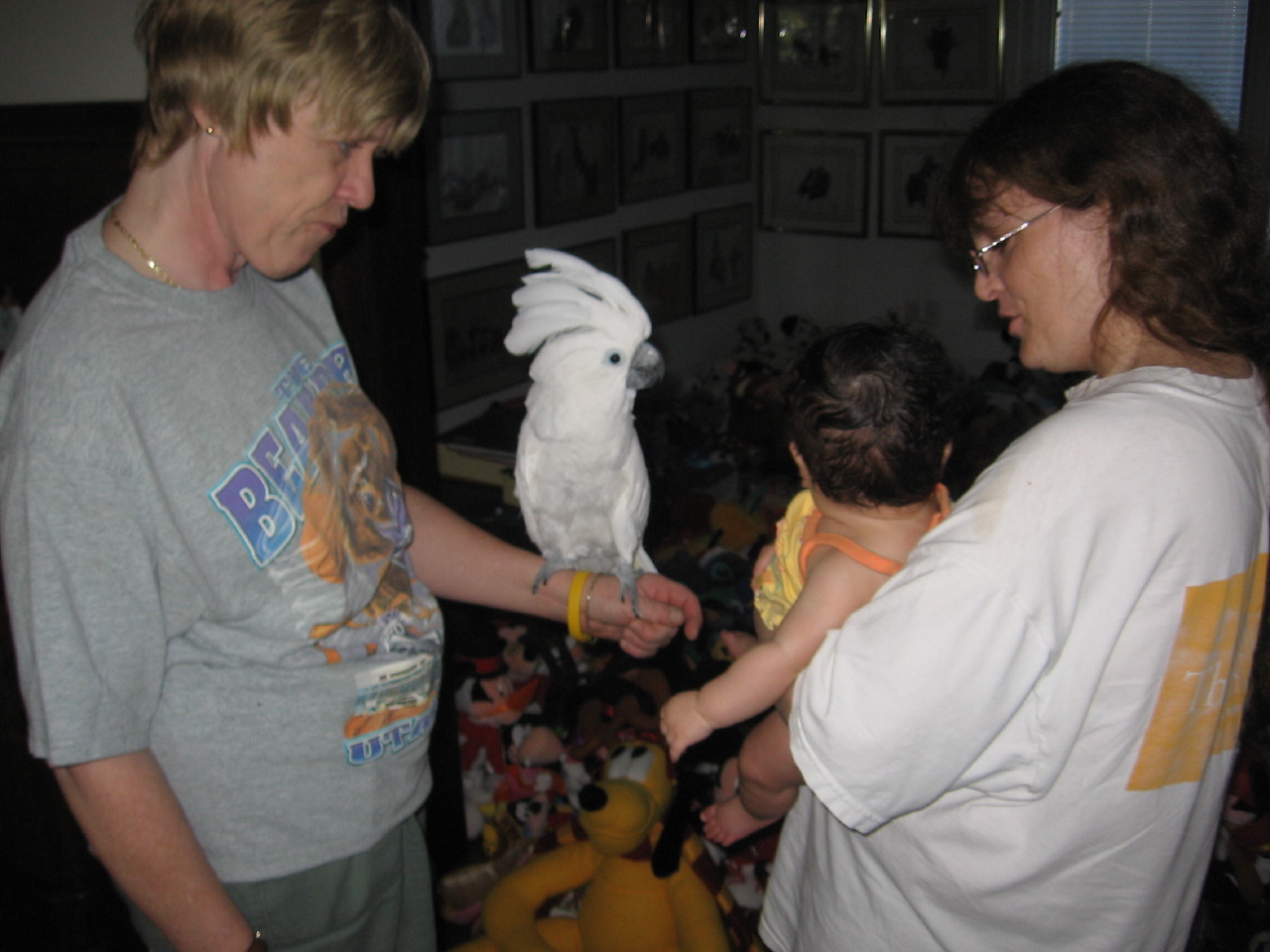 IMG_8042.JPG