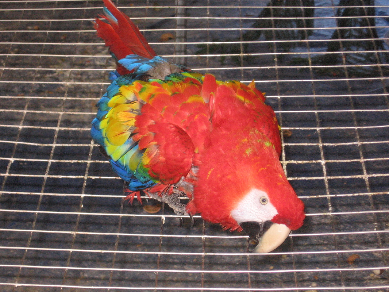 IMG_8061.JPG