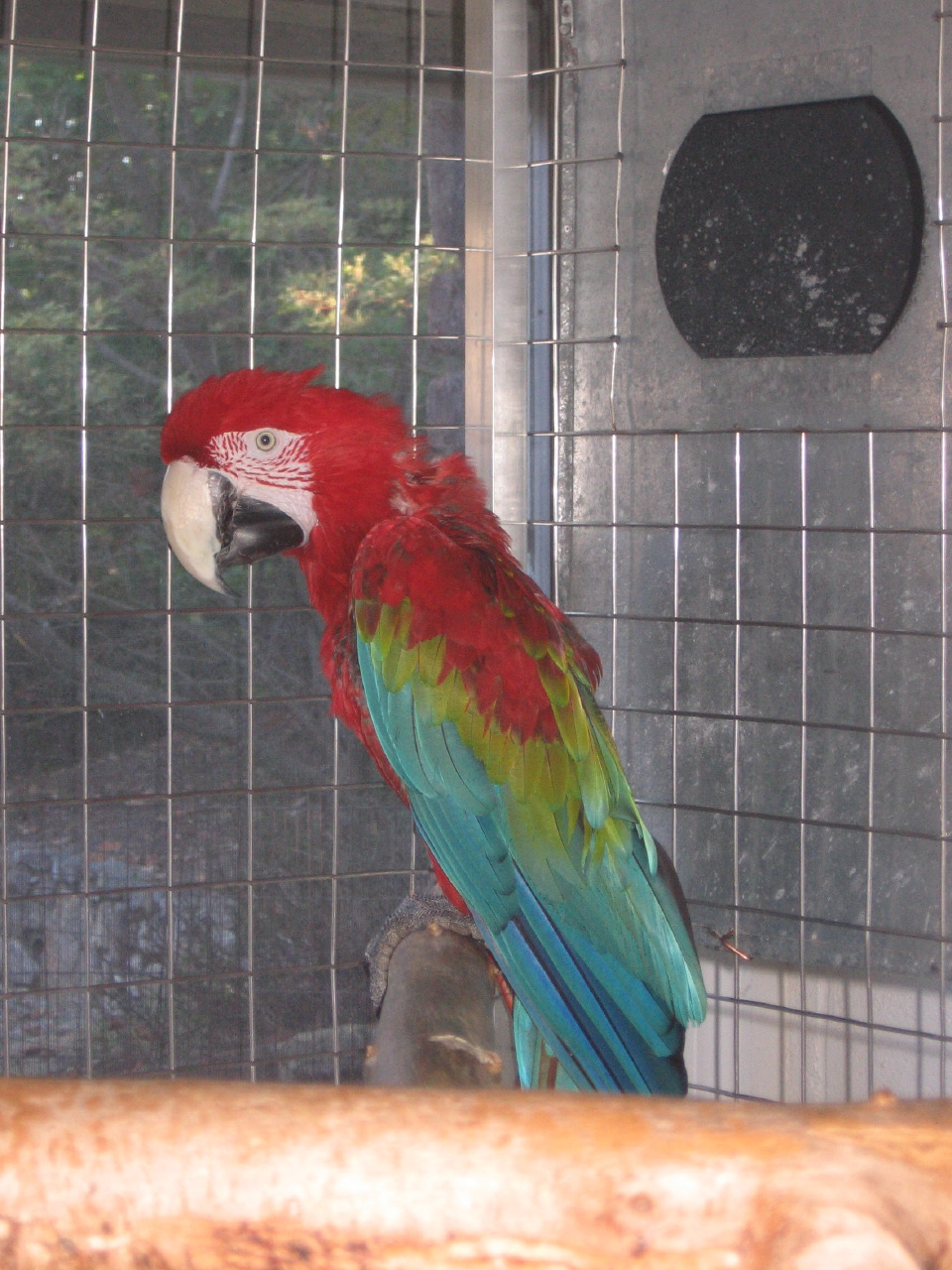 IMG_8064.JPG