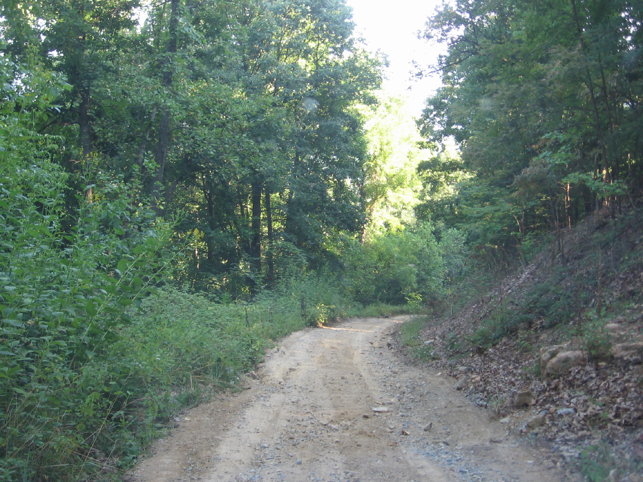 IMG_8081.JPG