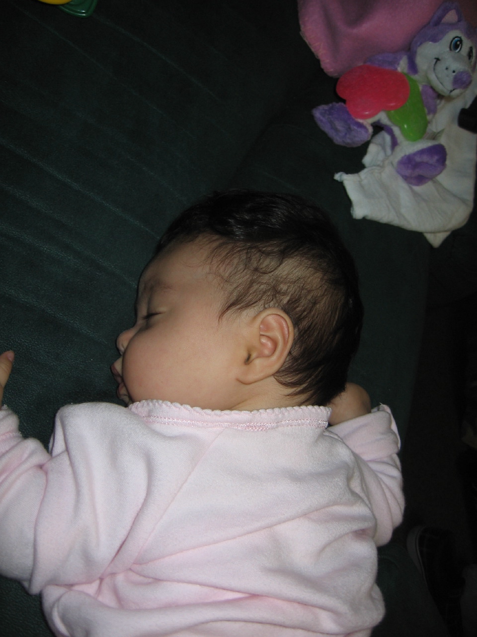 IMG_8100.JPG