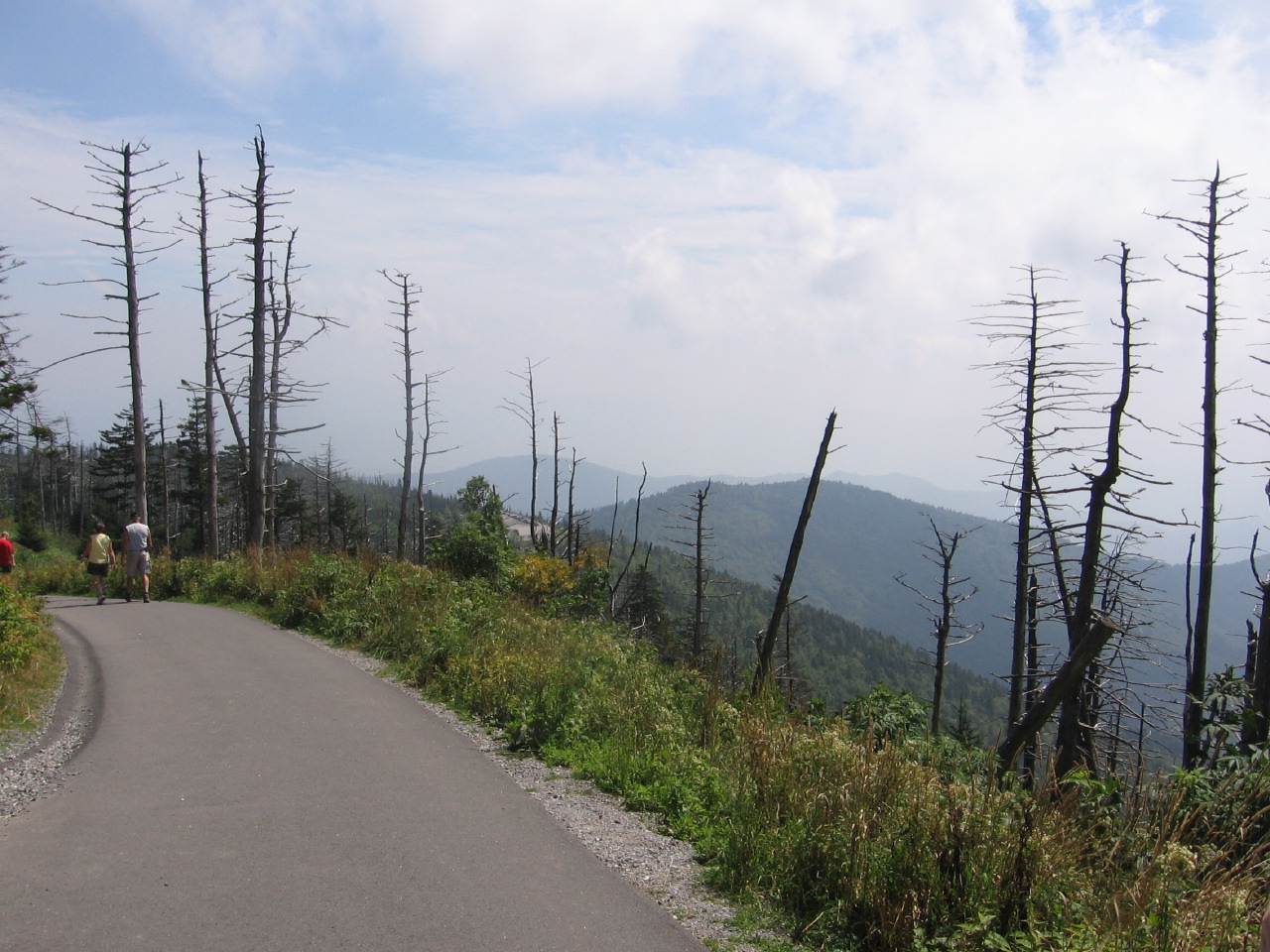 IMG_8287.JPG