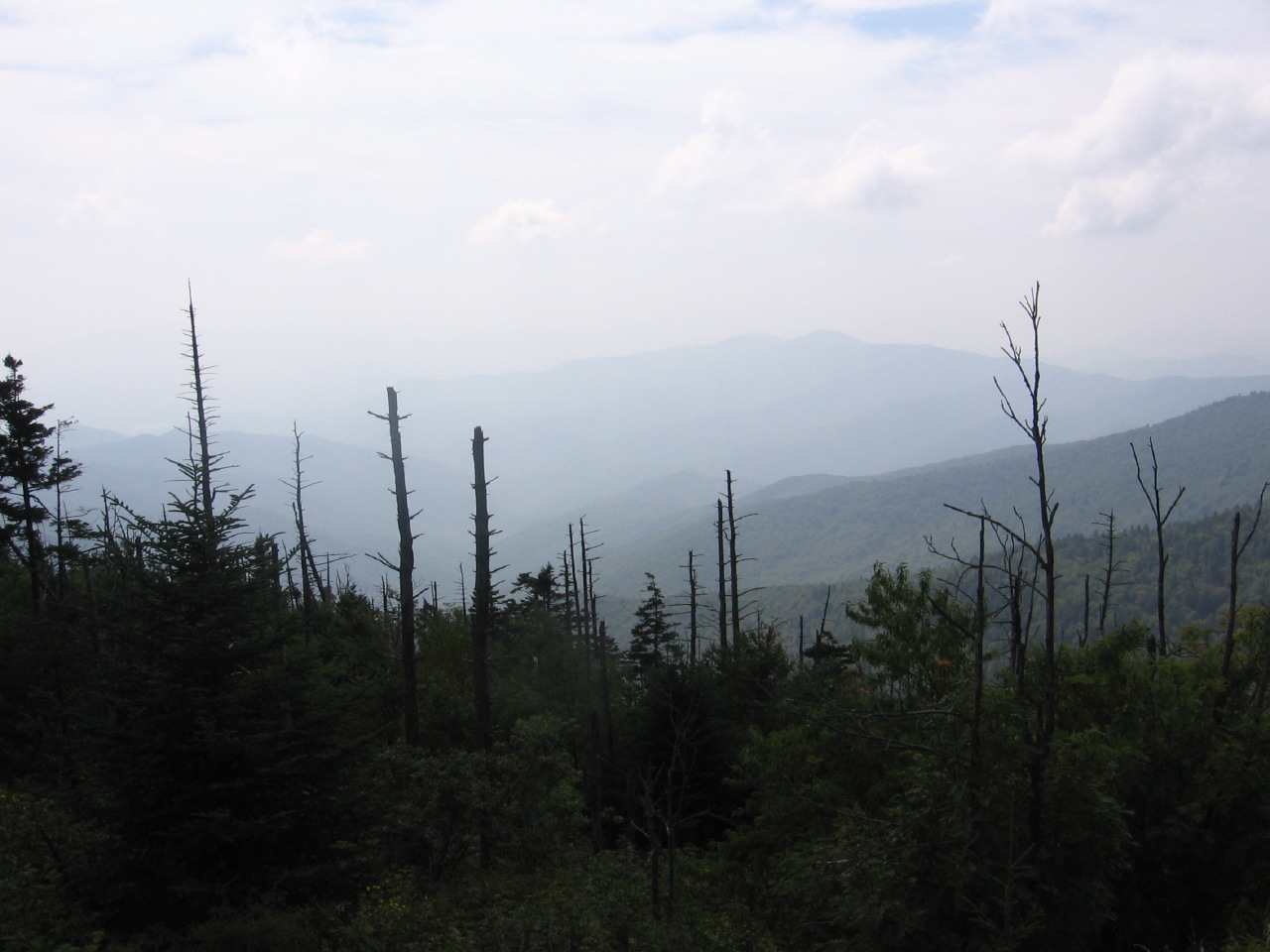 IMG_8291.JPG