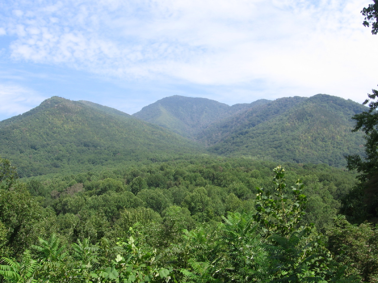 IMG_8305.JPG