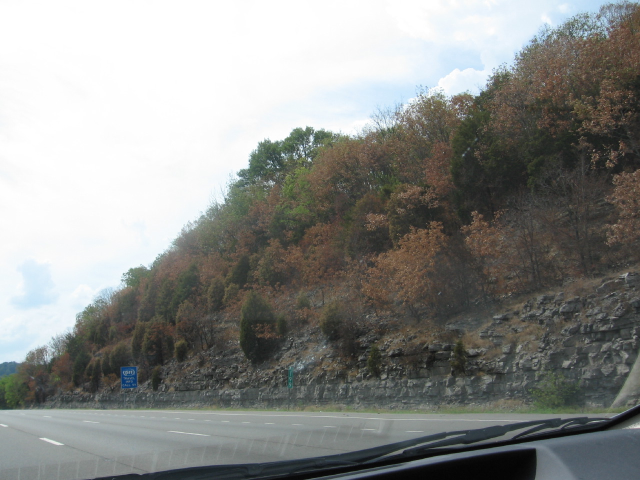 IMG_8359.JPG