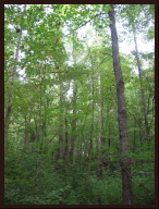IMG_8215.JPG