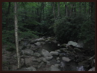 IMG_8350.JPG