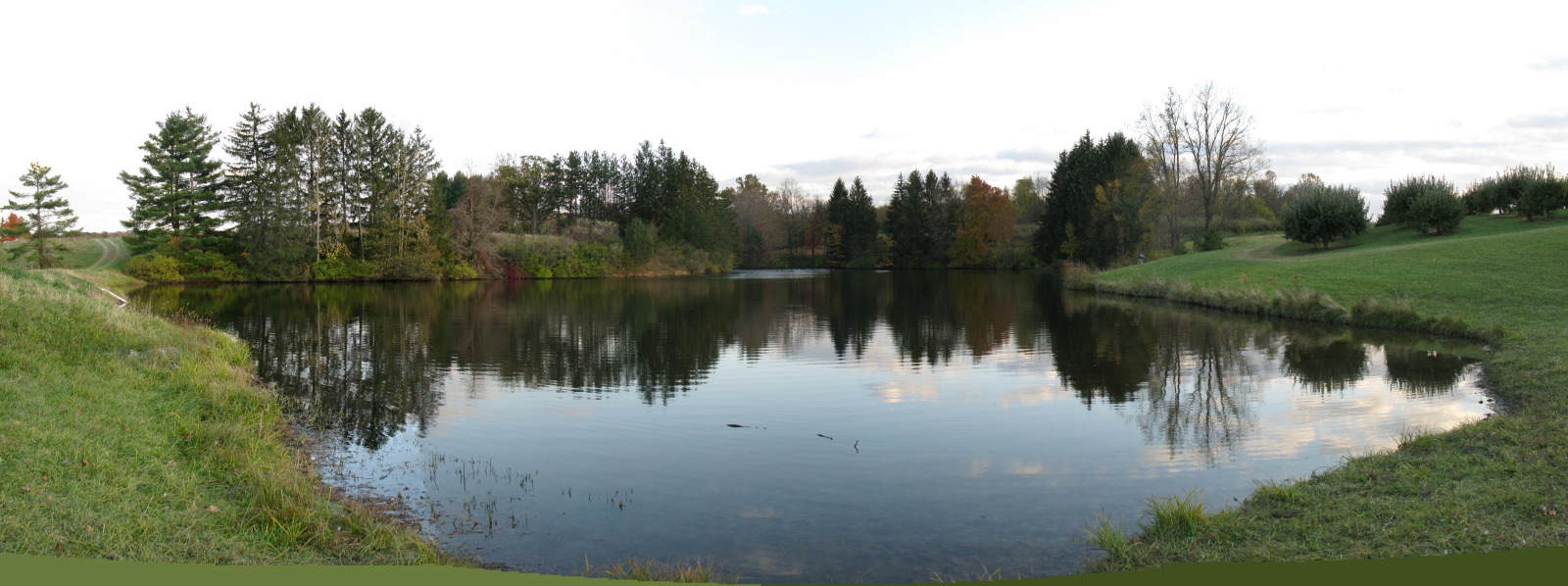 GranvilleOrchardPond2.jpg