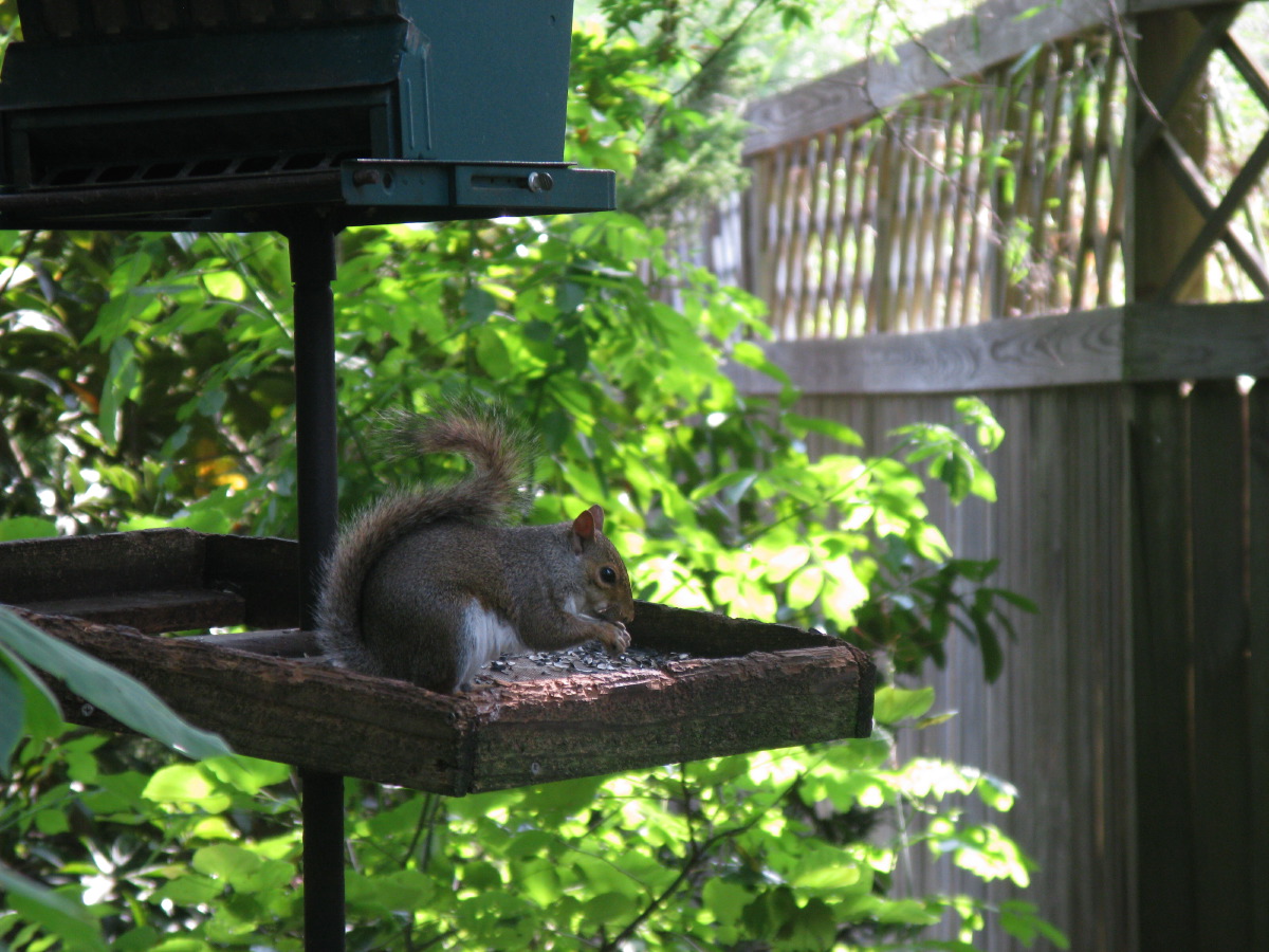 IMG_5469.JPG