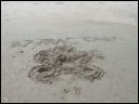 AUT_39614.JPG
