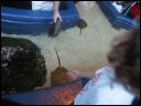 AUT_39620.JPG