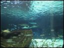 AUT_39640.JPG