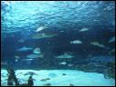 AUT_39642.JPG